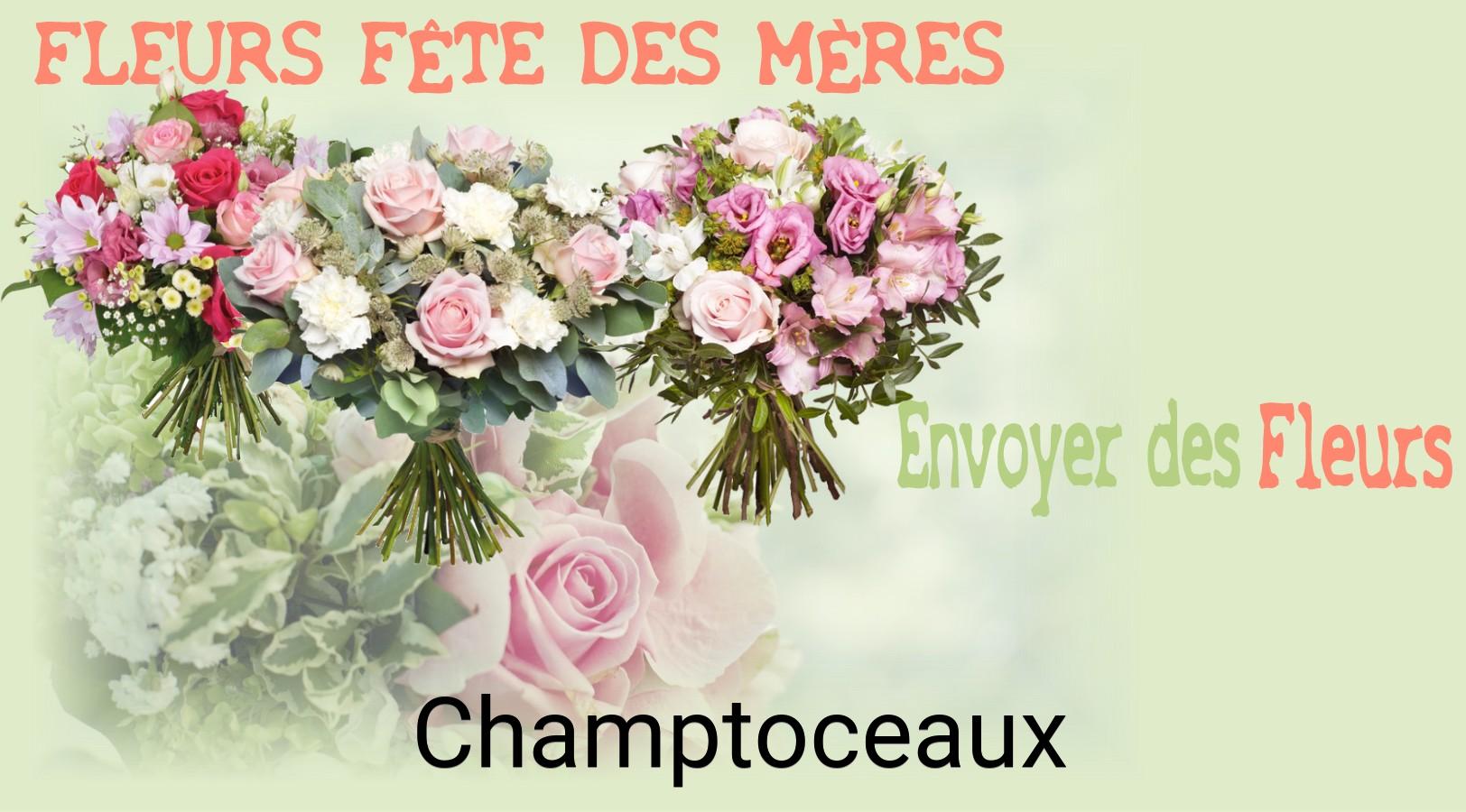 Bouquet de Fête des Mères livré à Champtoceaux